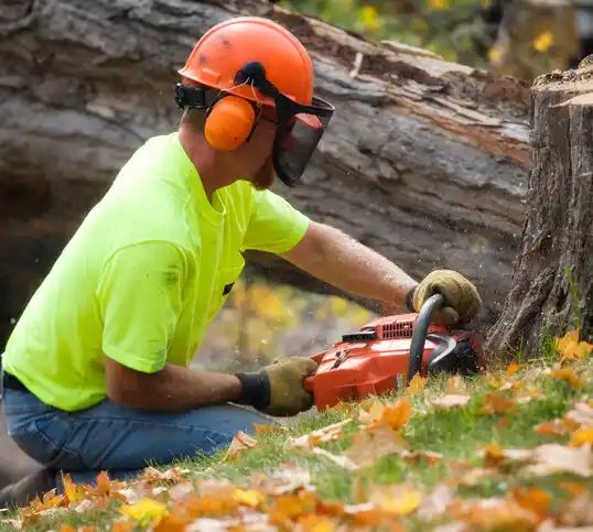 tree services Pleasant Hope